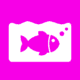 Icon preview 32