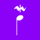 Icon preview 4